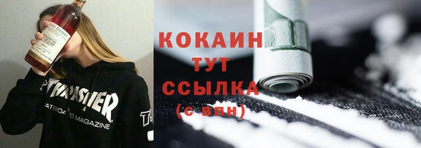 ПСИЛОЦИБИНОВЫЕ ГРИБЫ Рославль