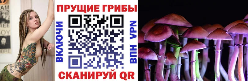 Галлюциногенные грибы прущие грибы  kraken рабочий сайт  Злынка  наркотики 